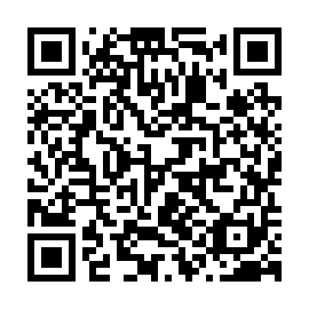 QR code for N1K 251