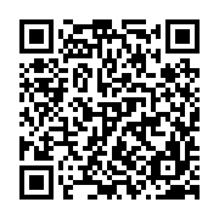QR code for N1K 296