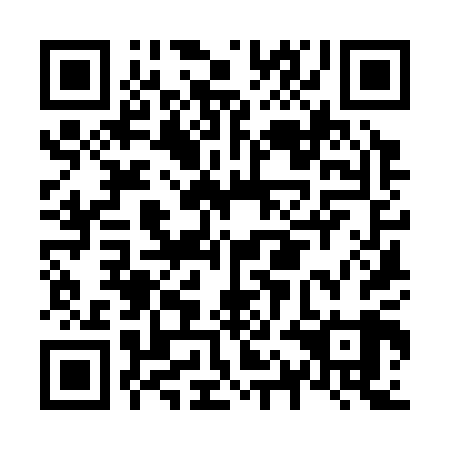 QR code for N1K 309