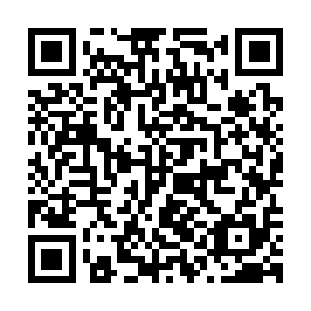 QR code for N1K 315