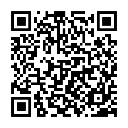 QR code for N1K 317