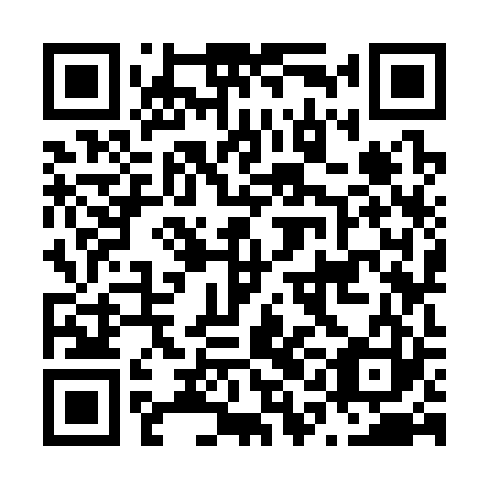 QR code for N1K 323