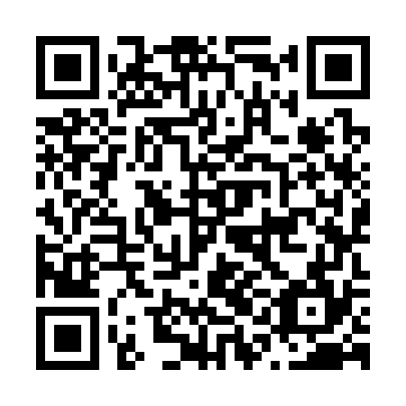 QR code for N1K 374