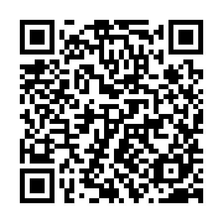 QR code for N1K 385