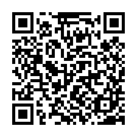 QR code for N1K 483