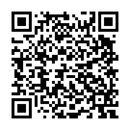 QR code for N1K 496