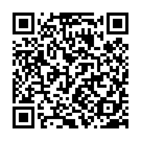 QR code for N1K 498