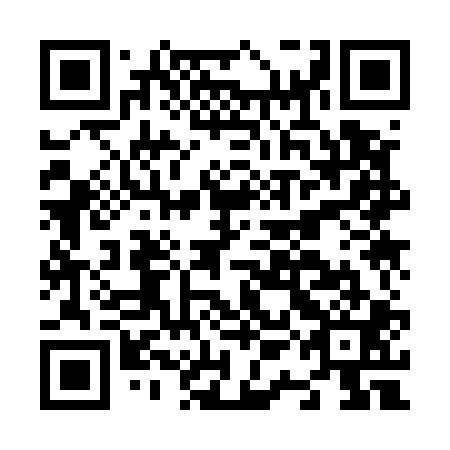 QR code for N1K 501