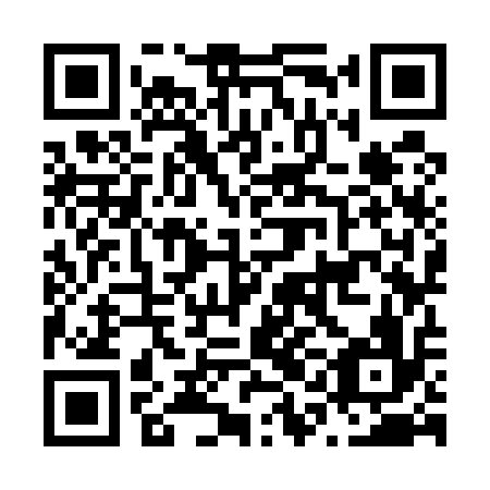 QR code for N1K 516