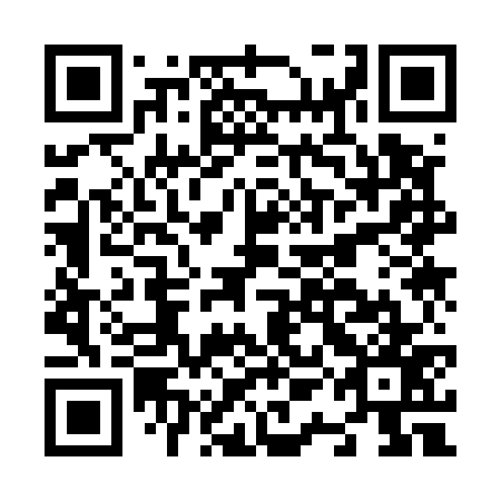 QR code for N1K 577