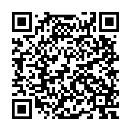 QR code for N1K 583