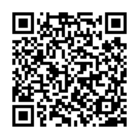 QR code for N1K 661