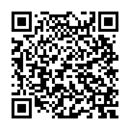 QR code for N1K 700