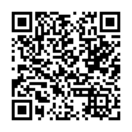 QR code for N1K 743