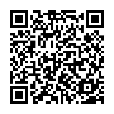 QR code for plate N1K 035