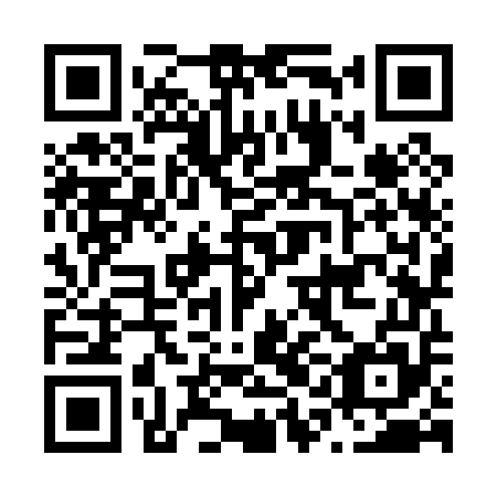 QR code for N1K055