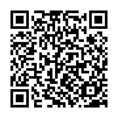 QR code for N1K105