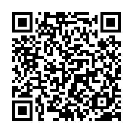 QR code for N1K295