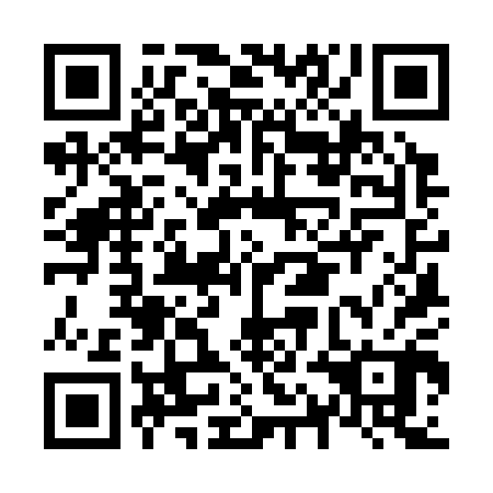 QR code for N1K300