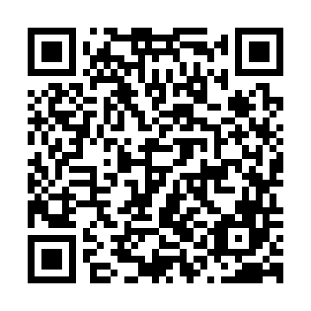 QR code for N1K346
