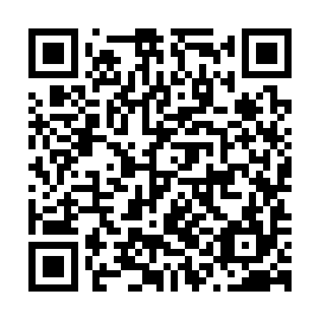 QR code for plate N1K 394
