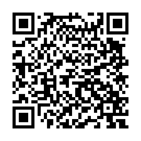 QR code for plate N1K 467