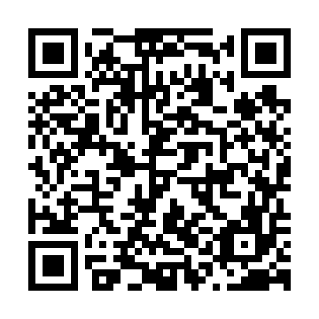 QR code for plate N1K 656