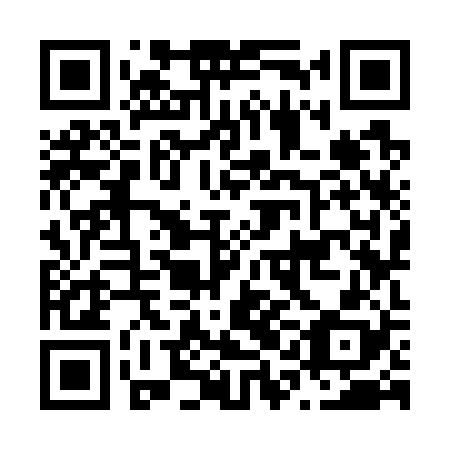 QR code for plate N1K 728