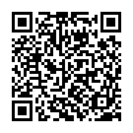 QR code for plate N1K 753