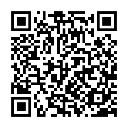 QR code for N1L 161
