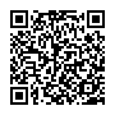 QR code for N1L 300