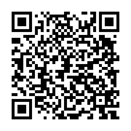 QR code for N1L 419