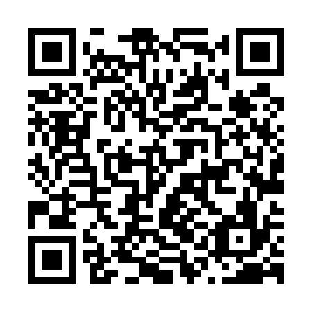 QR code for N1L 536