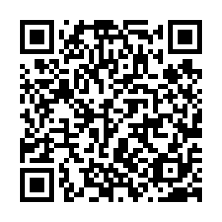 QR code for N1L 610