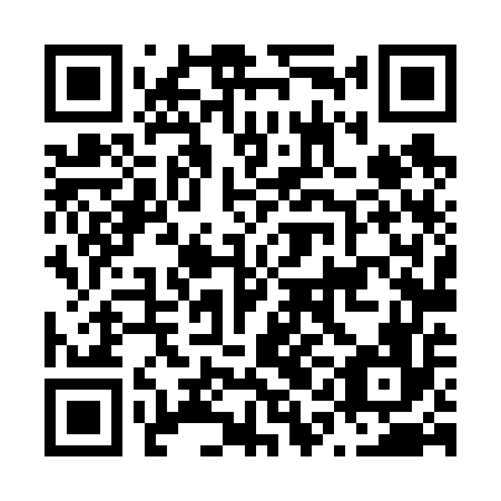QR code for N1L 656