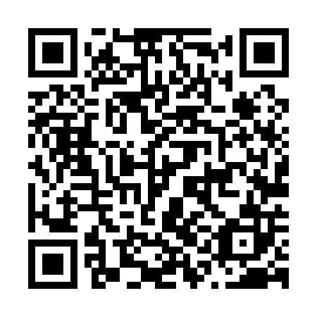 QR code for plate N1L 102