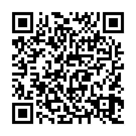 QR code for plate N1L 169