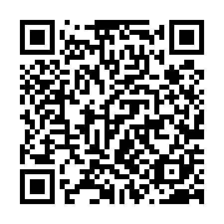 QR code for plate N1L 501