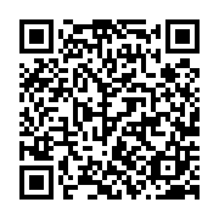 QR code for plate N1L 503