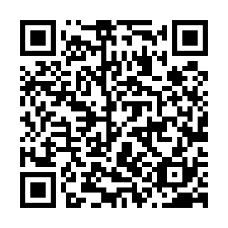 QR code for N1L530
