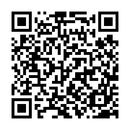 QR code for plate N1L 657