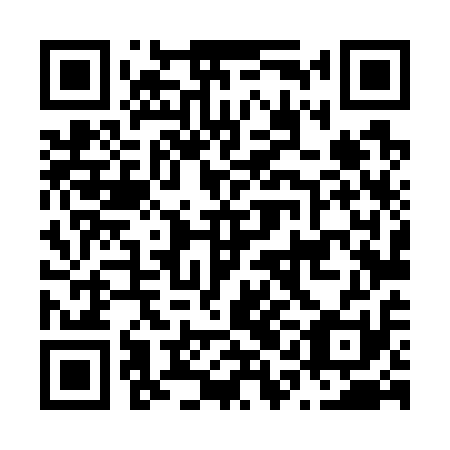 QR code for plate N1L 711