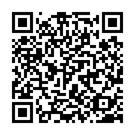 QR code for N1L739