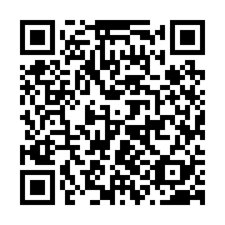QR code for N1M 229