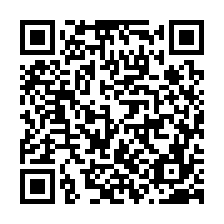 QR code for N1M 376