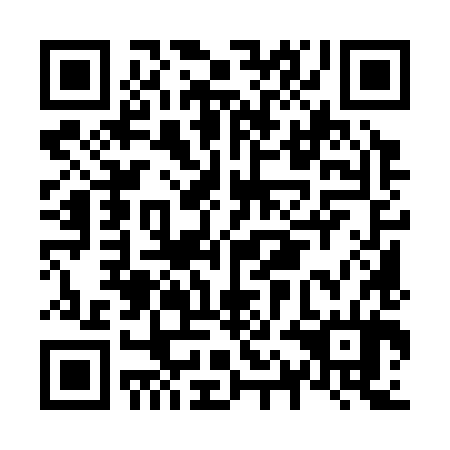 QR code for N1M 384