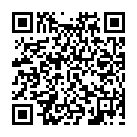 QR code for N1M 395