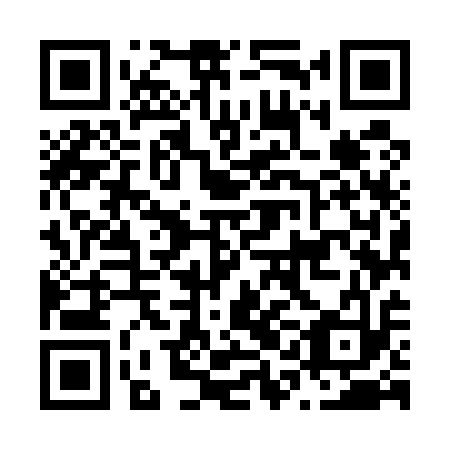 QR code for N1M 513