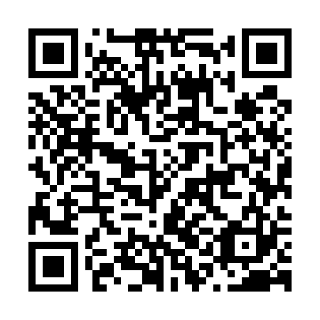 QR code for N1M 523