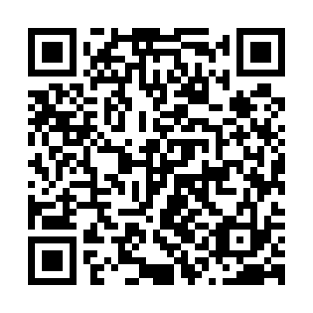 QR code for N1M 533